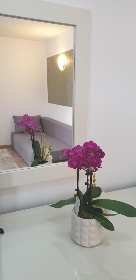 Ramona Hotel Gura Humorului Ngoại thất bức ảnh