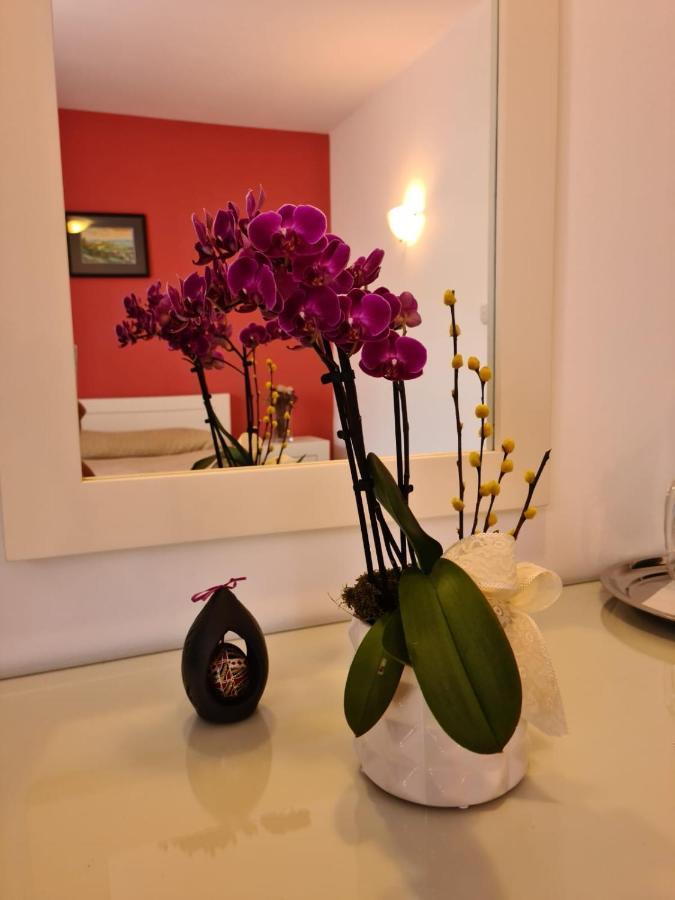 Ramona Hotel Gura Humorului Ngoại thất bức ảnh